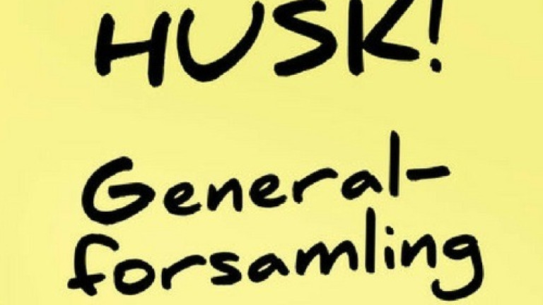 Generalforsamling
